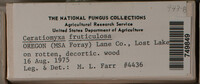 Image Associated With the Occurence